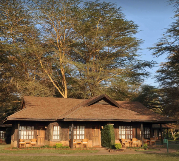 Al pie del Kilimanjaro