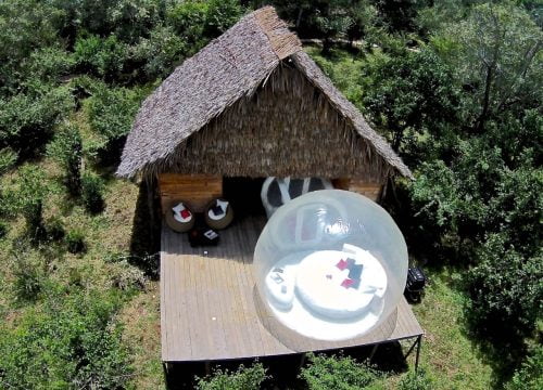 Bubble tente