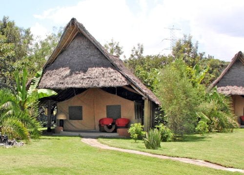 Flamingo Hill Camp