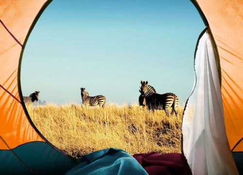 Camping
