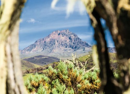 Vista del Kilimanjaro