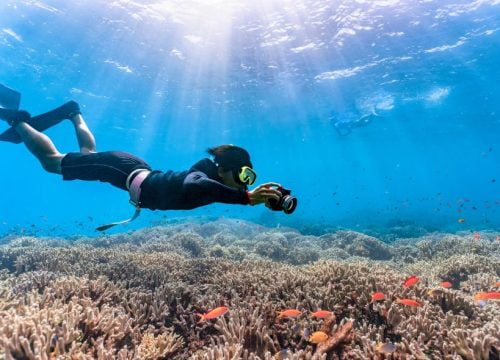 Snorkeling
