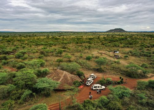 Ikoma Bush Camp