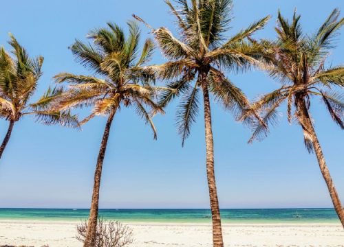 Malindi