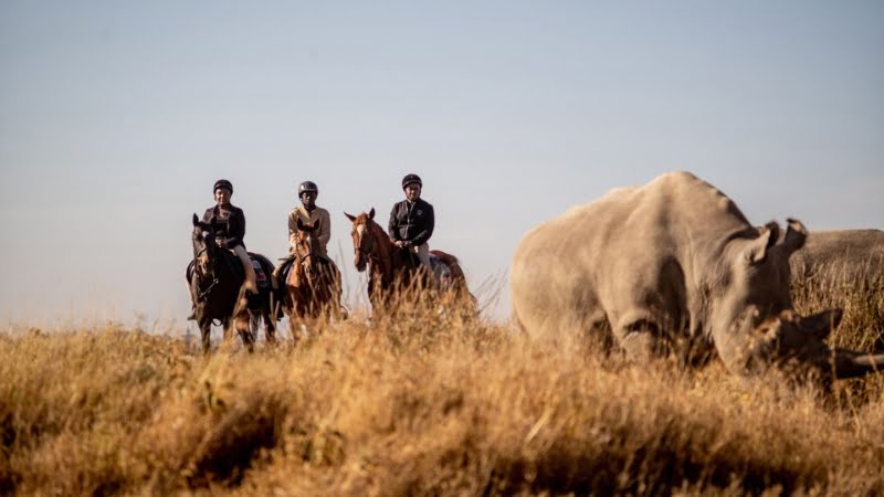 Plus grand sanctuaire rhinocéros d'Afrique de l’Est : Riding with Rhino