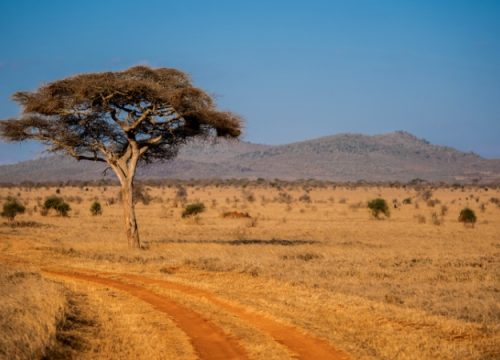 Taita Hills