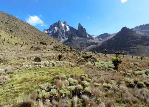 ¿Cuándo hacer la ascensión al monte Kenia ?