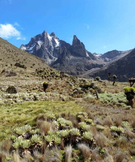 Mont Kenya Trek