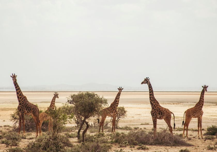 parc national d'amboseli
