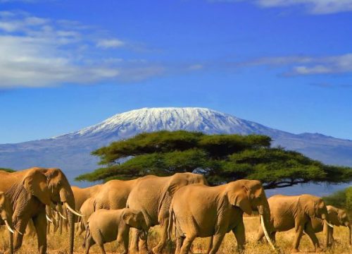 ¿Dónde ver el Kilimanjaro en Kenia?