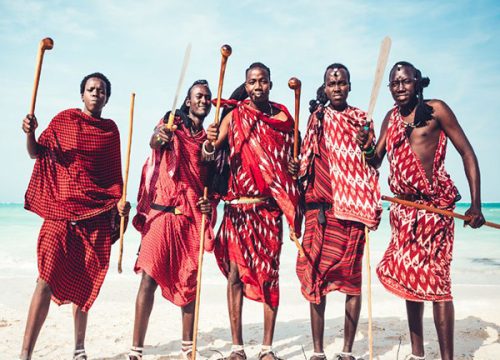 Safari en Tierras Africanas y Playas del Océano Índico