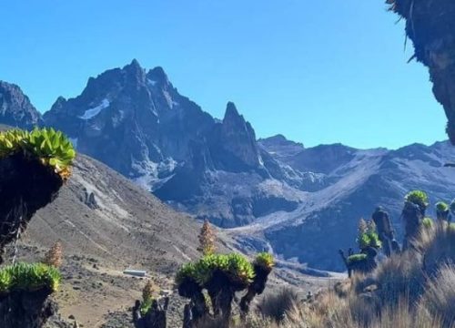 ¿Cuál es la altura del monte Kenia?