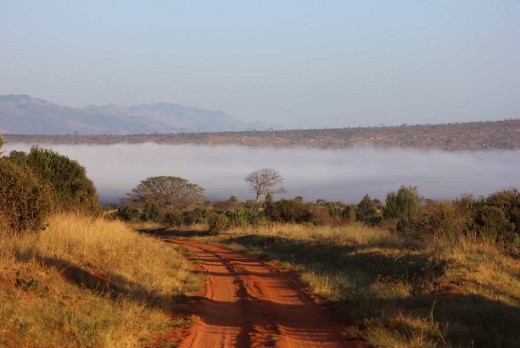 Parc Tsavo Kenya