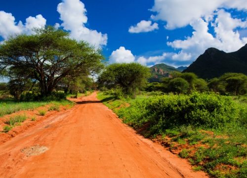 Tsavo Est/Ouest